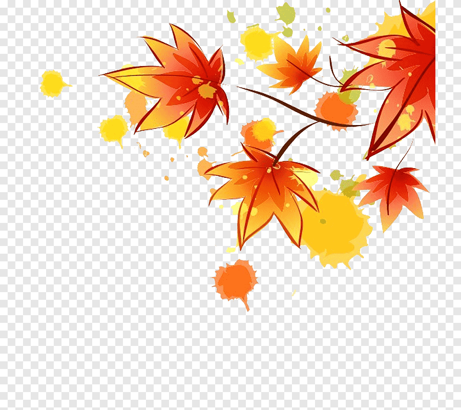 Ilustracja do artykułu png-clipart-autumn-leaves-leaves-tree.png