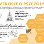 Ilustracja do artykułu tn_w-trosce-o-pszczoly-1.jpg